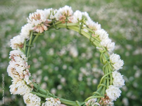 clover, repens crown or coronet