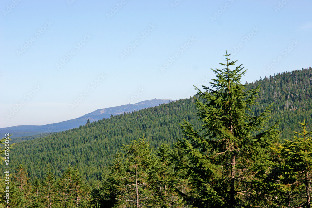 landscape with trees and mountains landscape with trees and mountains