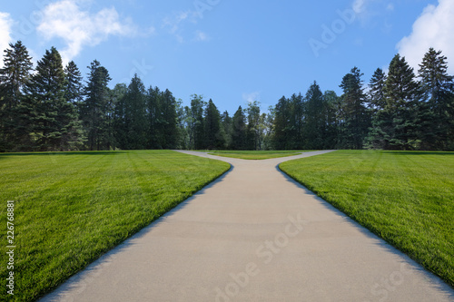 walk path ,green grass on blue sky background