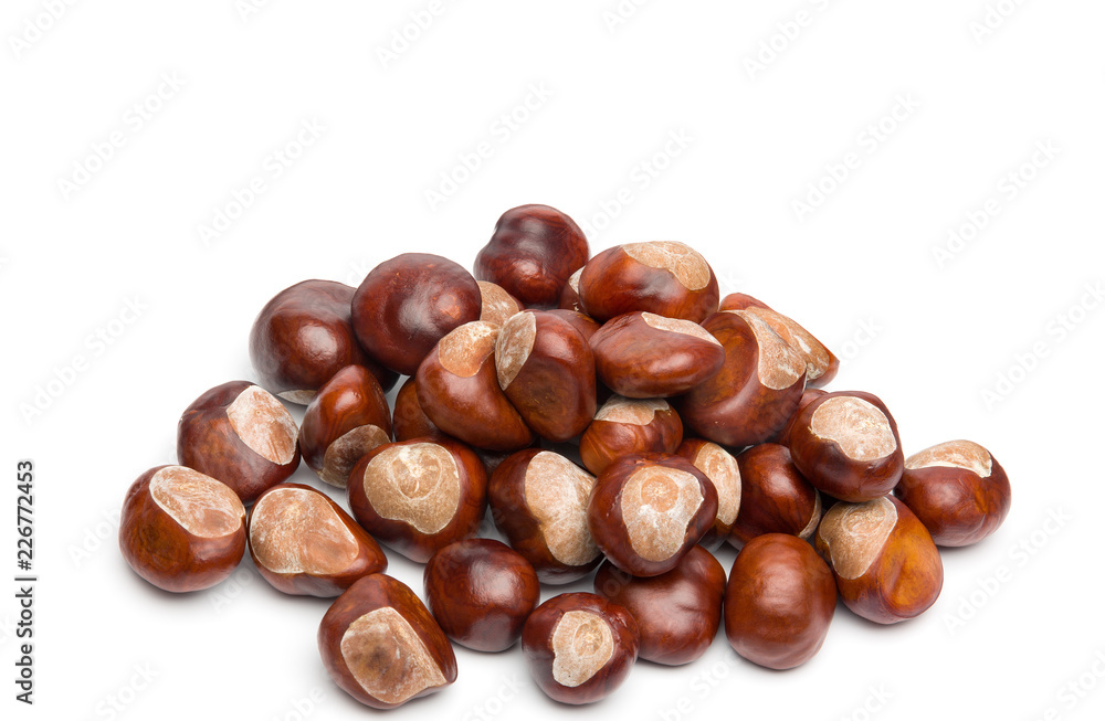 Autumn - Bunch of Chestnuts - Isolated on White Autumn - Bunch of Chestnuts - Isolated on White