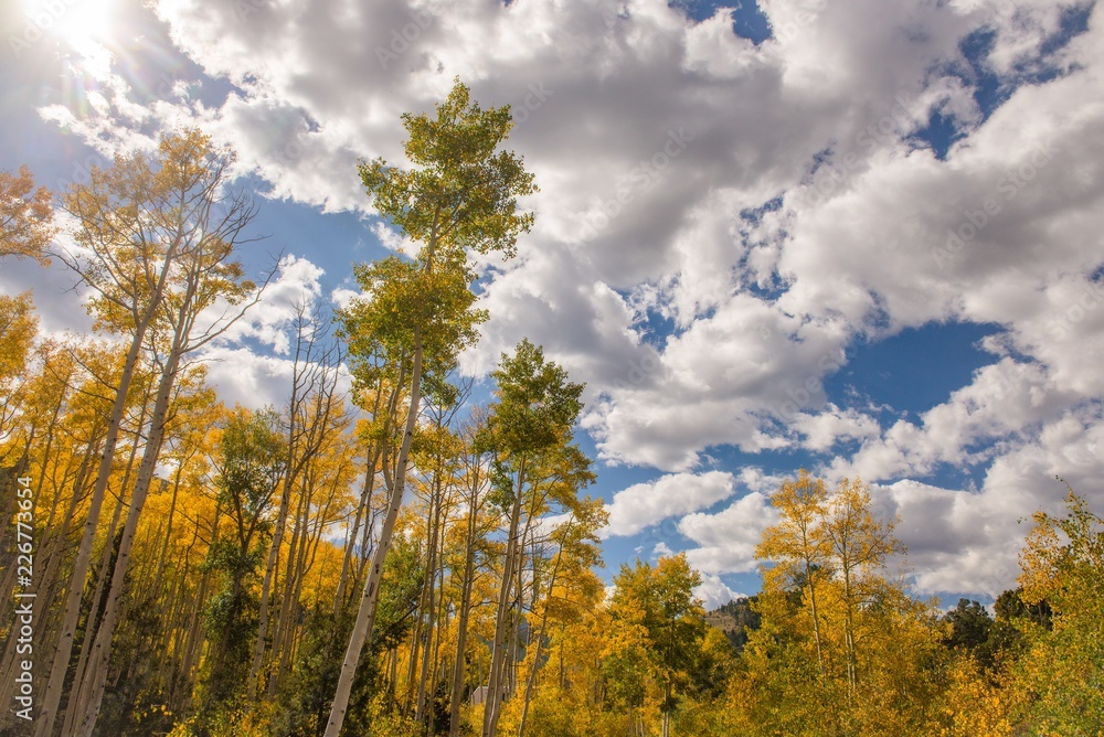 A sunny day in Colorado in Autumn A sunny day in Colorado in Autumn
