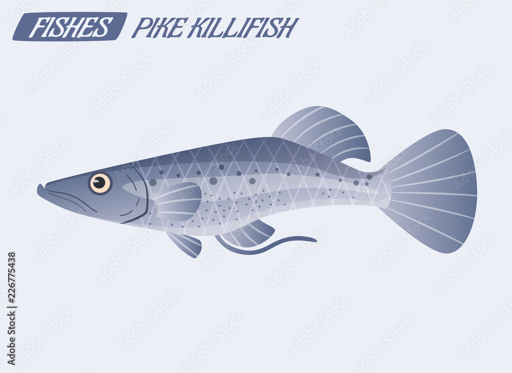 Fish character. Cartoon vector illustration Fish character. Cartoon vector illustration