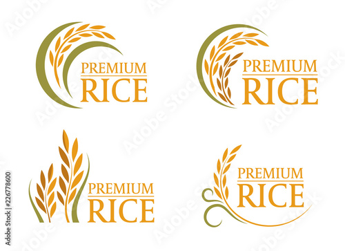 Wallpaper Mural yellow and green paddy premium rice logo sign 4 style vector design