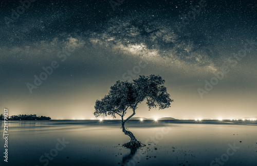 Black and white image of Night sky with stars and silhouette mangrove tree in sea. Long exposure photograph.