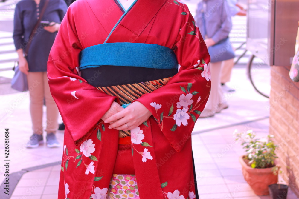 美しい京都の舞妓さんの着物