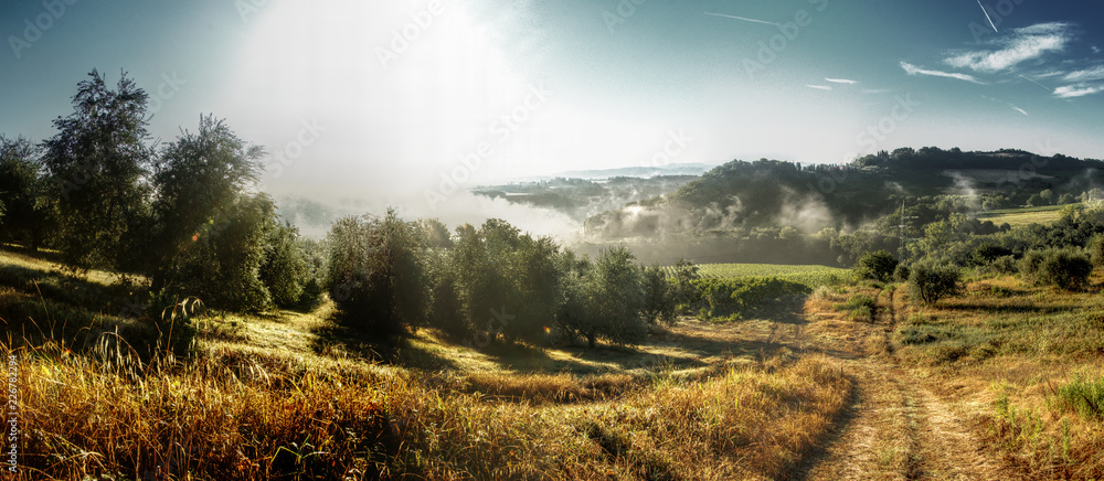 Dawn over Tuscan agricultural landscape, Montespertoli, Florence