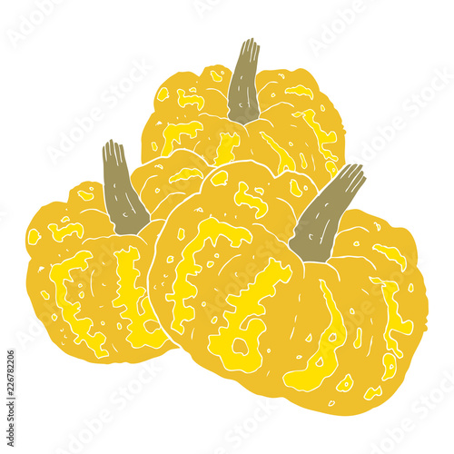 flat color illustration of a cartoon squash