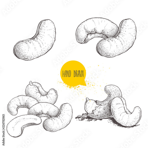 Hand drawn sketch style cashew set. Single, whole fresh and roasted nuts. Organic food vector illustrations. Artwork isolated on white background.