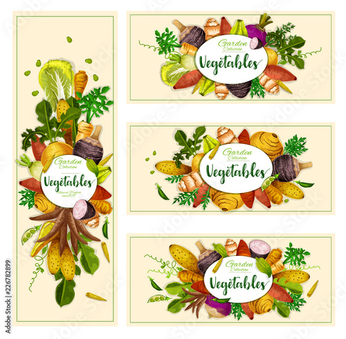 Vegetables and exotic tubers, vector