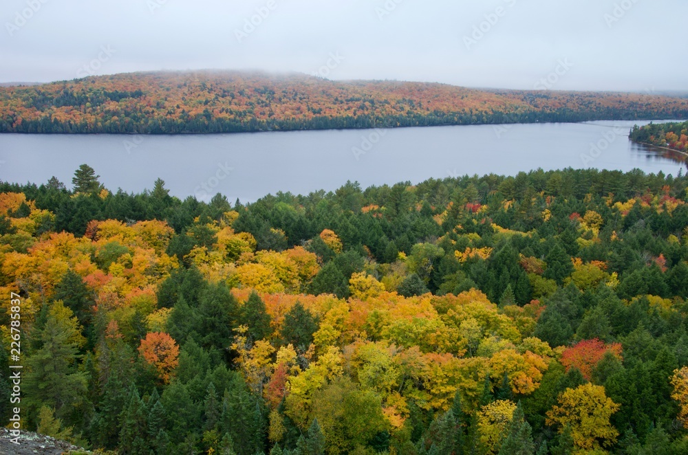 Beautiful foggy sceneries of Algonquin Park in autumn Beautiful foggy sceneries of Algonquin Park in autumn