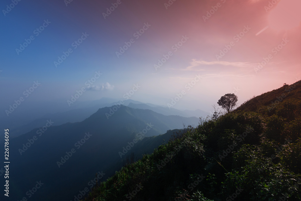 The forest and Beautiful mountain view after Sunset
