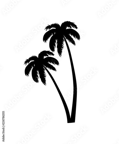 Palm Tree Leaves Silhouette Vector Illustration