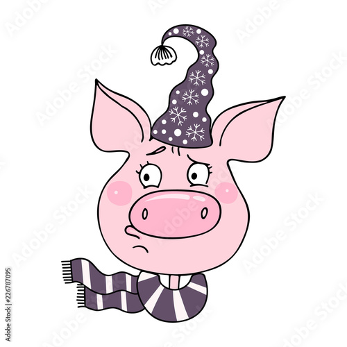 Portrait of a cute pig with an offended face