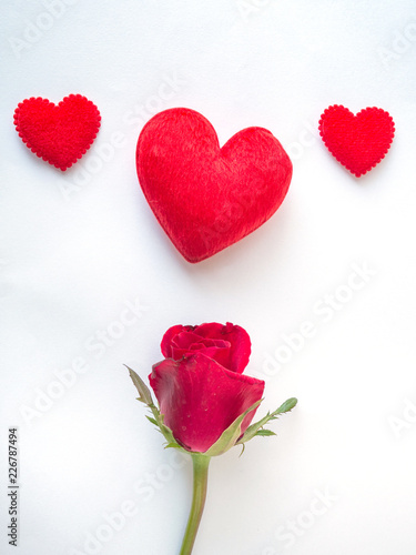 Red rose and red hearts on white background