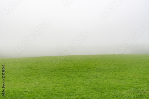 霧の中の草原 / 北海道の観光イメージ