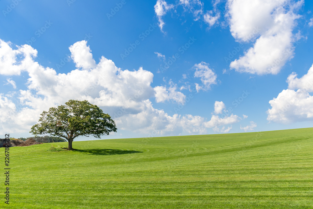 爽やかな高原の風景 夏の北海道観光イメージ Stock Photo Adobe Stock