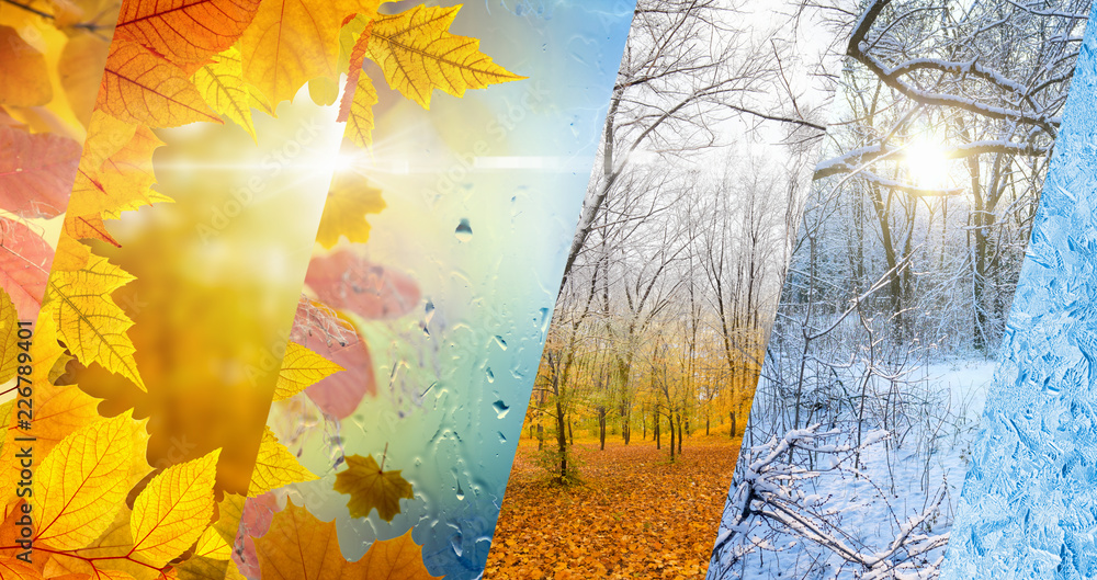 Fall and winter, weather forecast concept - obrazy, fototapety, plakaty 