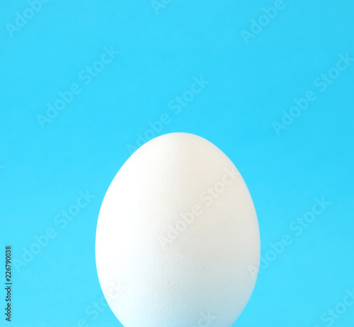 concept image of egg shape over blue pastel background. minimal an pop art concept.