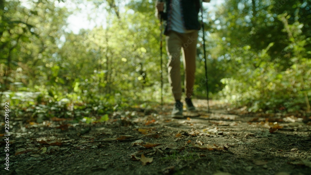 Man hiking in the forest with backpack and walking sticks on sunset Man hiking in the forest with backpack and walking sticks on sunset