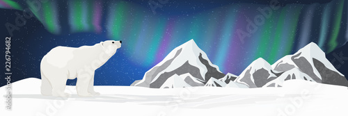 A big white polar bear looks up at the sky. Northern lights over the snow-covered plain. Night starry sky. Northern landscape