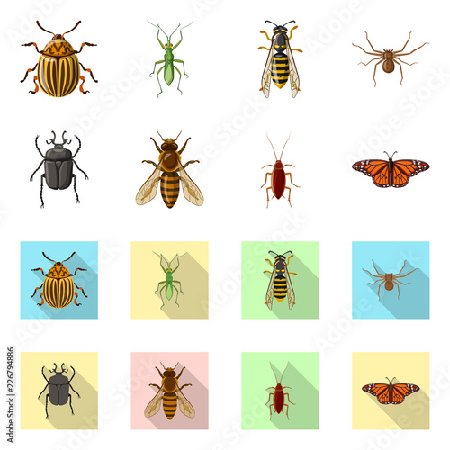 Vector illustration of insect and fly logo. Set of insect and element stock symbol for web.