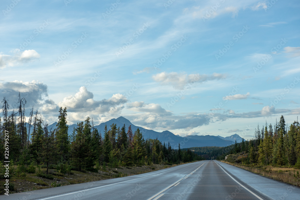 Fototapeta premium Stimmung nach Unwetter