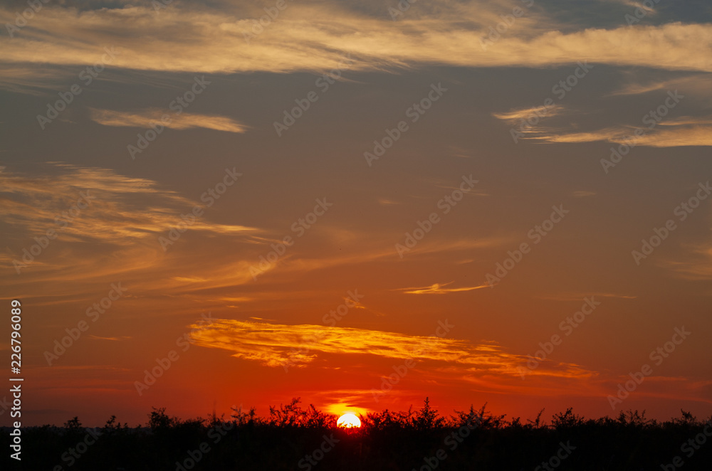 Sunrise Sunrise