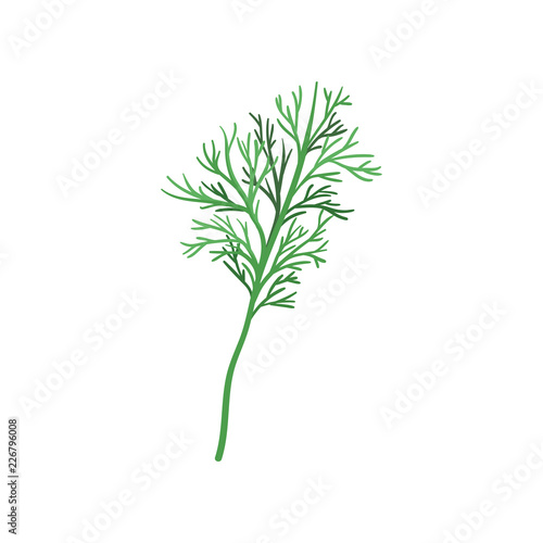 Small sprig of fresh green dill. Aromatic annual herb. Natural and healthy ingredient for flavoring dishes. FFlat vector icon