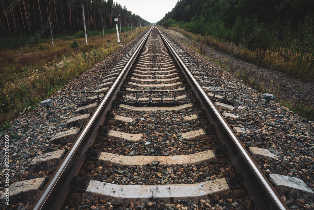 Railway traveling in perspective across forest. Journey on rail track. Poles with wires along rails. Atmospheric landscape with railroad along bushes and trees with copy space.