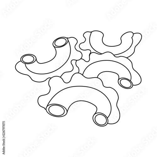 Vector illustration of pasta and carbohydrate icon. Collection of pasta and macaroni stock symbol for web.