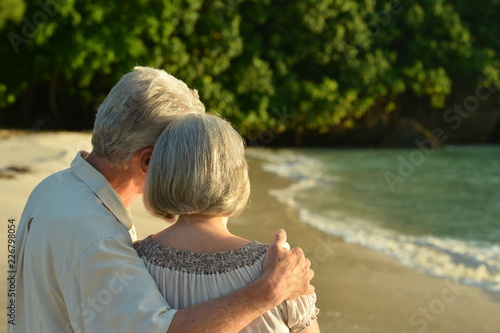 Portrait of elderly couple on beach back view
