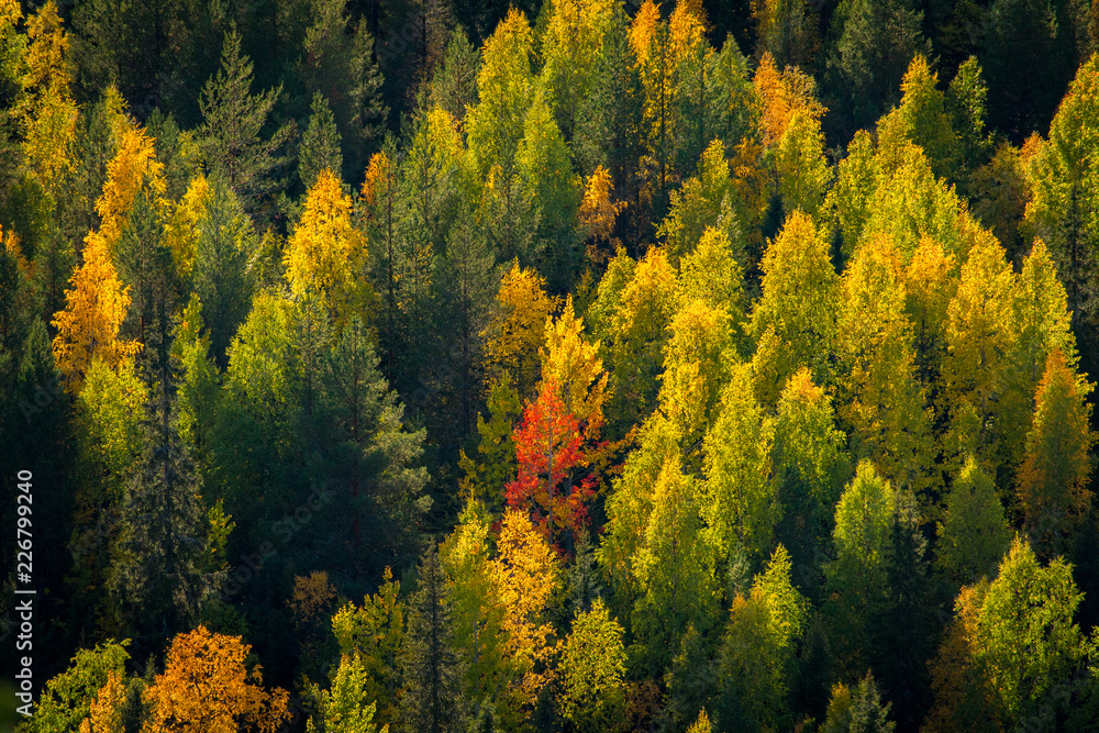 Autumn colors Autumn colors