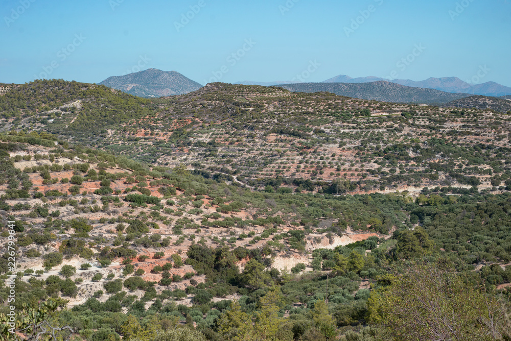 Crete island inland countryside landscape mountain view plantation olives fields green trees