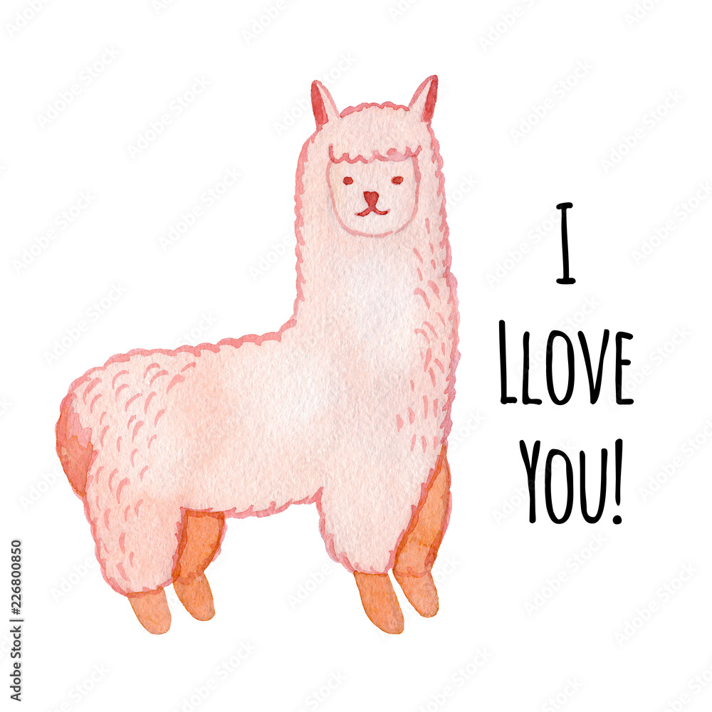 Llama and alpaca collection of cute hand drawn watercolor illustrations ...