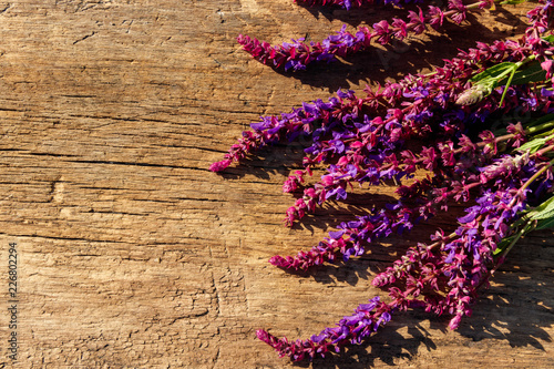 Purple salvia flowers on rustic wooden background. Top view  copy space