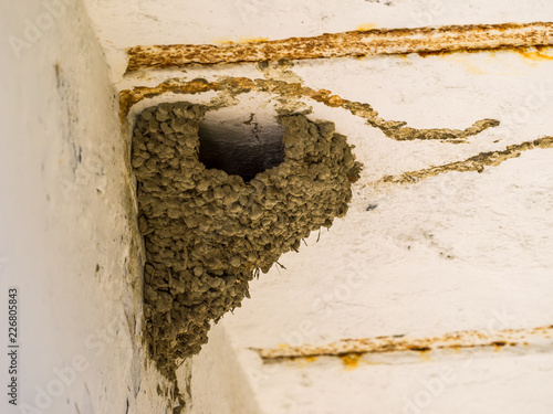 The nest of a house martin under the roof of a building in Andalusia Spain