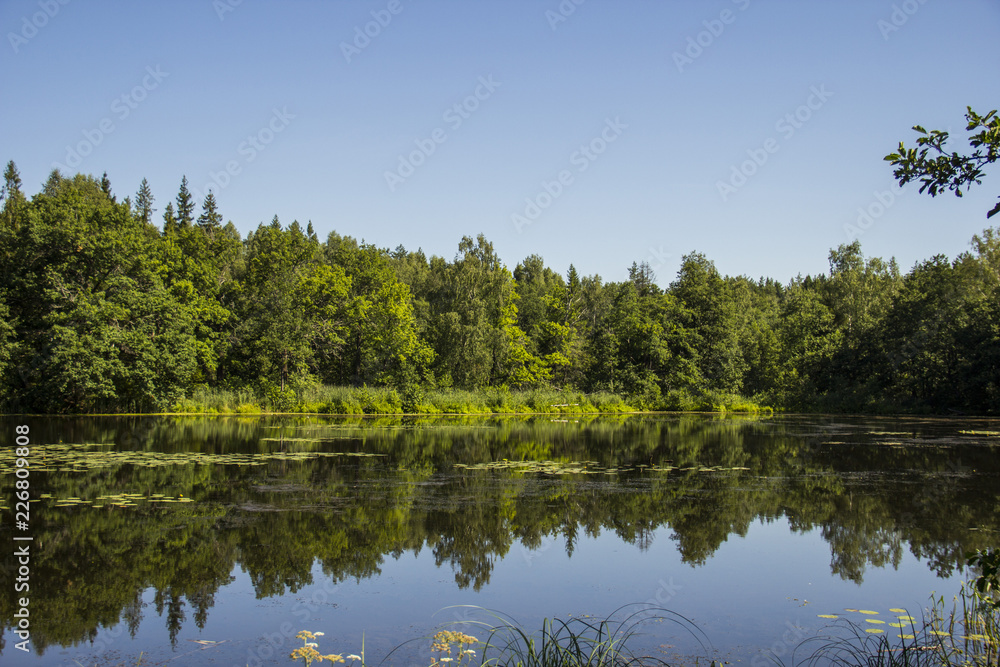 Fototapeta premium traveling on the summer's day