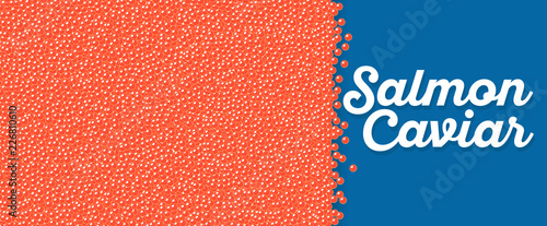 Salmon caviar banner in cartoon style photo