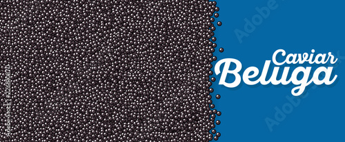 Beluga caviar banner in cartoon style