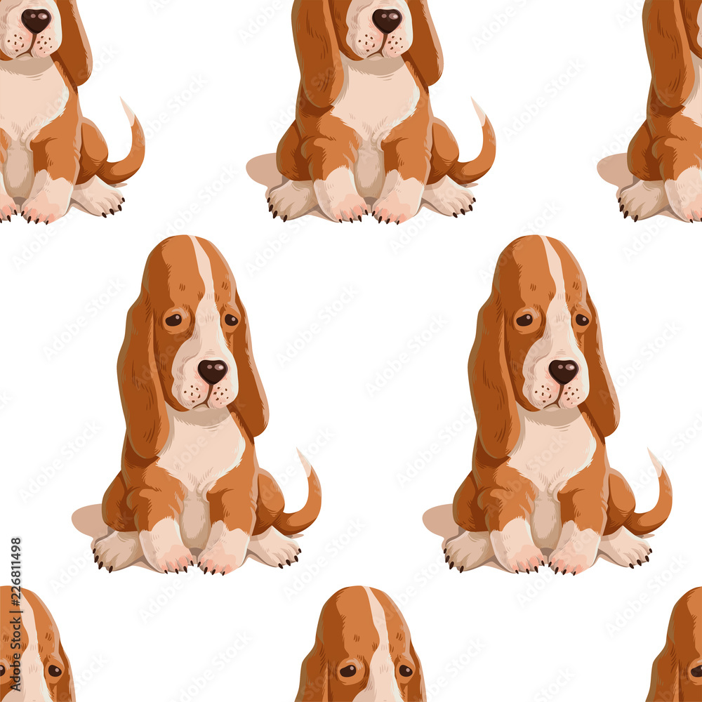 Fototapeta premium Vector seamless pattern with puppy. Hand drawn illustration with basset hound isolated on white background. Color texture with cute dogs