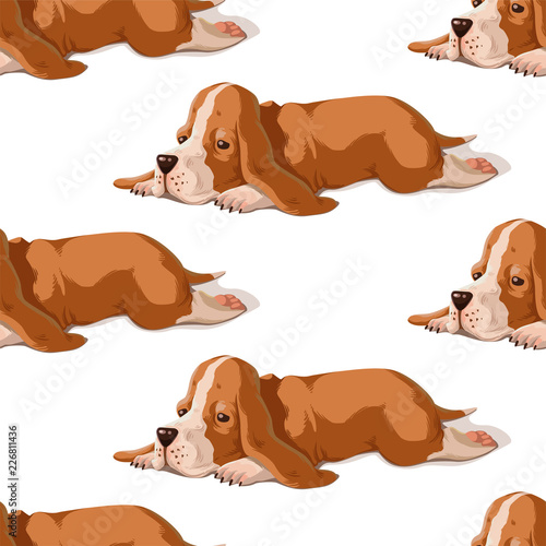 Vector seamless pattern with puppy. Hand drawn illustration with basset hound isolated on white background. Color texture with cute dogs