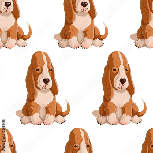 Vector seamless pattern with puppy. Hand drawn illustration with basset hound isolated on white background. Color texture with cute dogs
