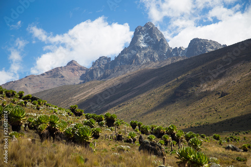 mt kenya vendetta