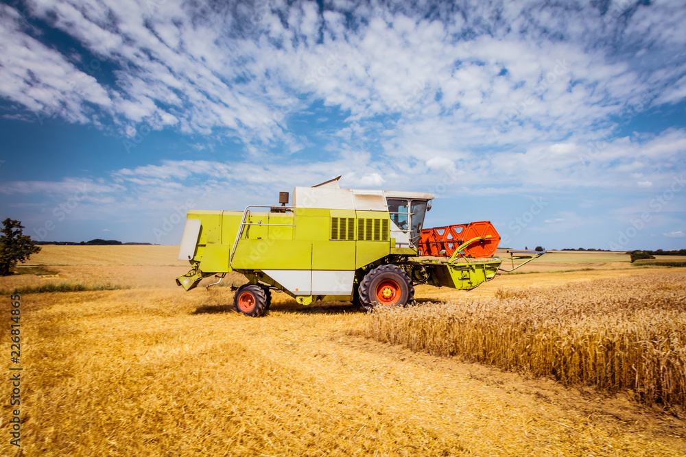 Obraz premium Combine harvesters Agricultural machinery. The machine for harvesting grain crops.