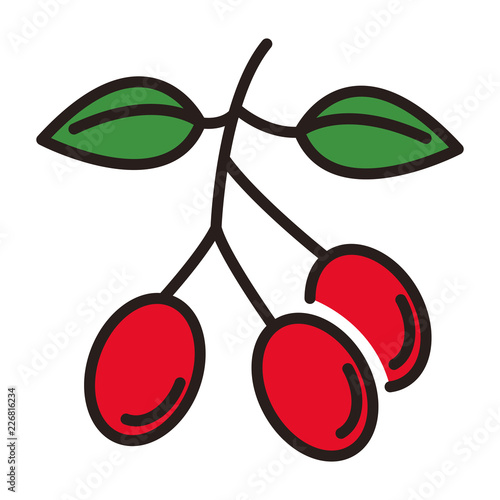 Coffee plant beans