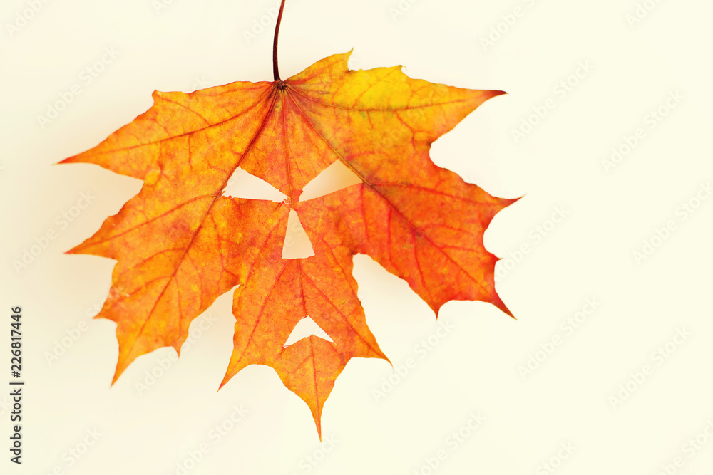 Autumn maple leaf with a Halloween face on a light background Autumn maple leaf with a Halloween face on a light background