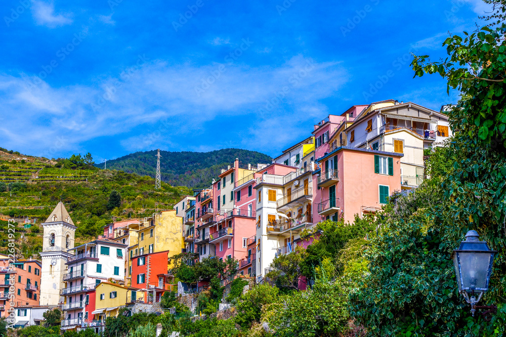 Colorful houses with storied vineyards backgroud in Manarola Village Italy 