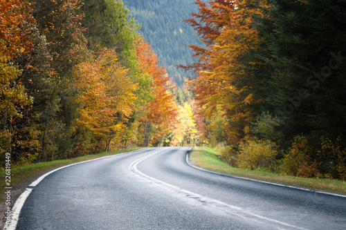 Asphalt road among the autumn landscape. colorful leaves of trees.