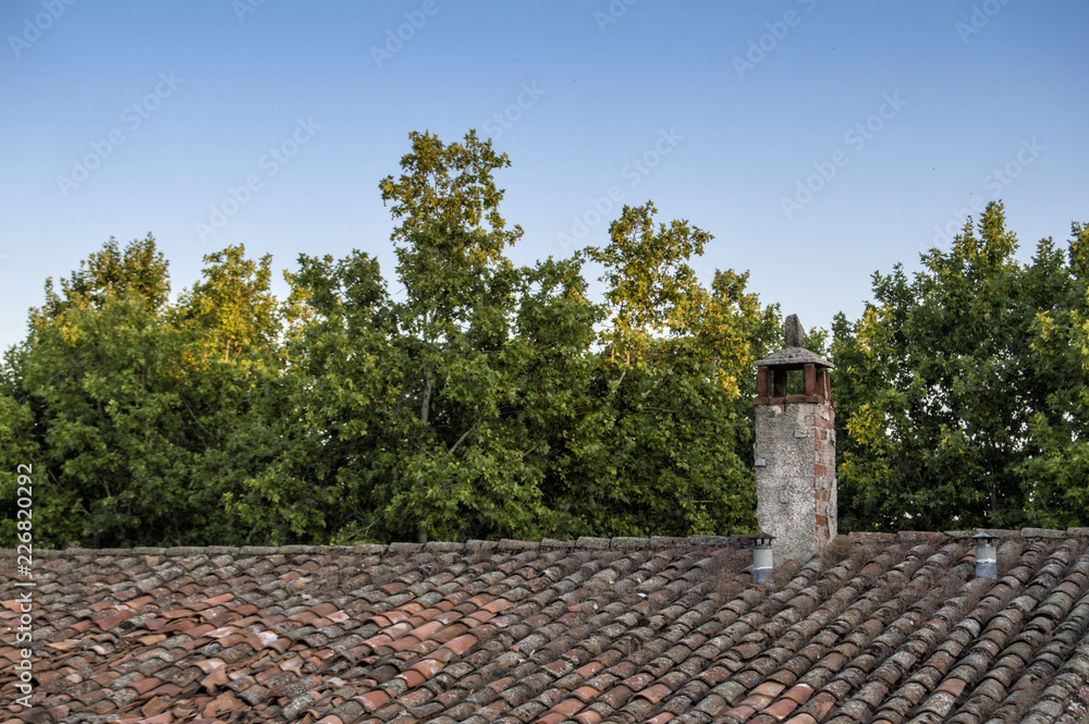 Tejado con chimenea/ tejado con chimenea de ladrillo y árboles de fondo en  una casa rural foto de Stock | Adobe Stock