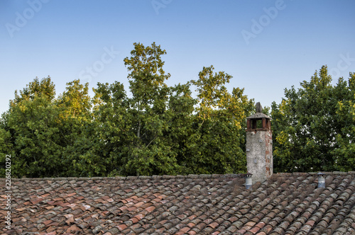 Tejado con chimenea/  tejado con chimenea de ladrillo y árboles de fondo en una casa rural photo